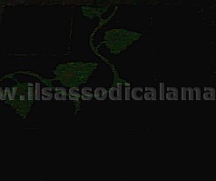 notturna tavolo fosforescente